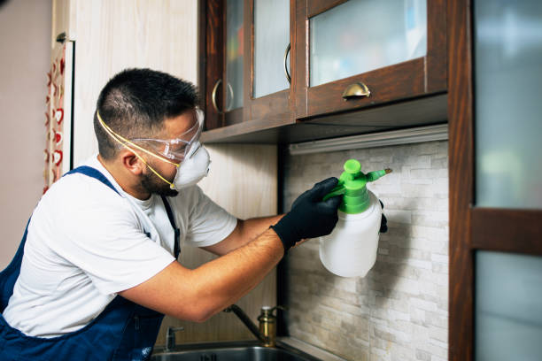 Best Local Pest Control Services  in Monroe, OH